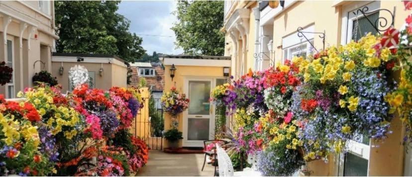 Crowndale Torquay - Exclusively For Adults Bed & Breakfast Екстериор снимка