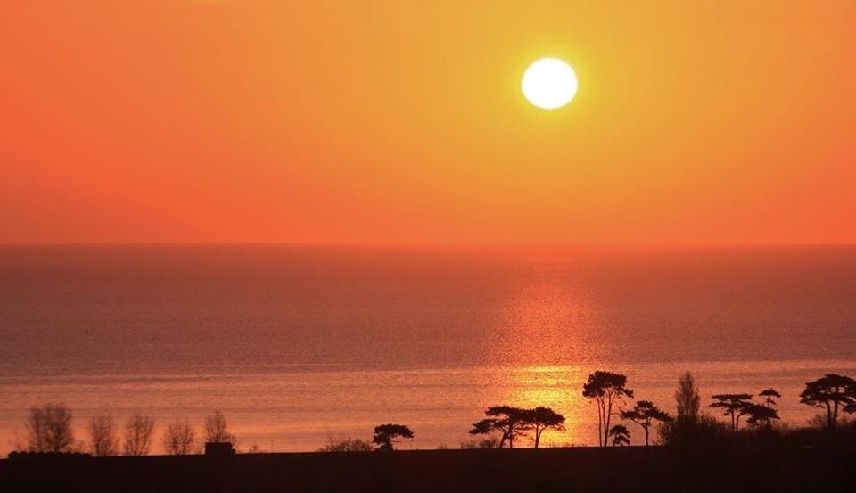 Crowndale Torquay - Exclusively For Adults Bed & Breakfast Екстериор снимка